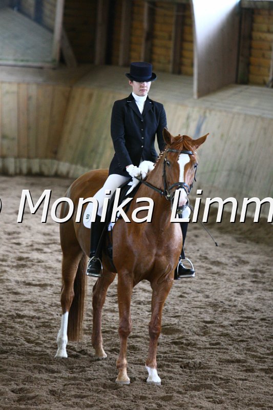 006M4868_Dressur A.JPG